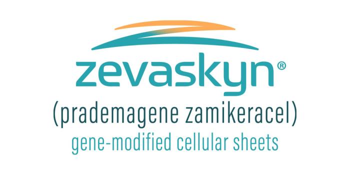 ZEVASKYN Epidermolysis Bullosa